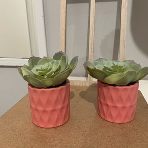 Artificial succulents